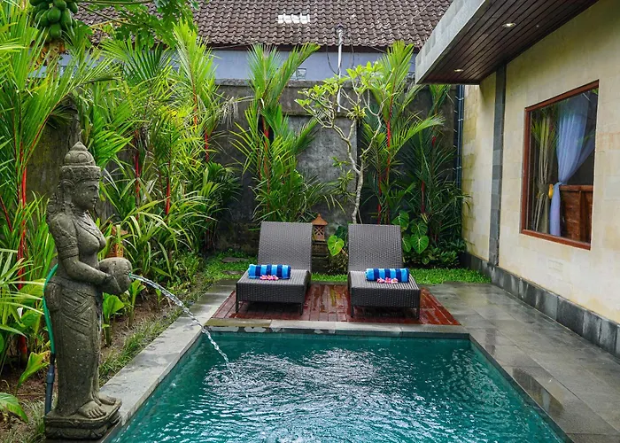 Jungle Paradise