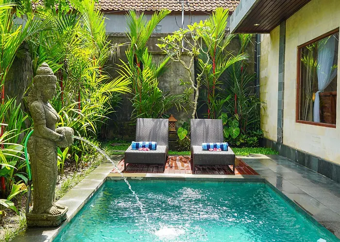Jungle Paradise *