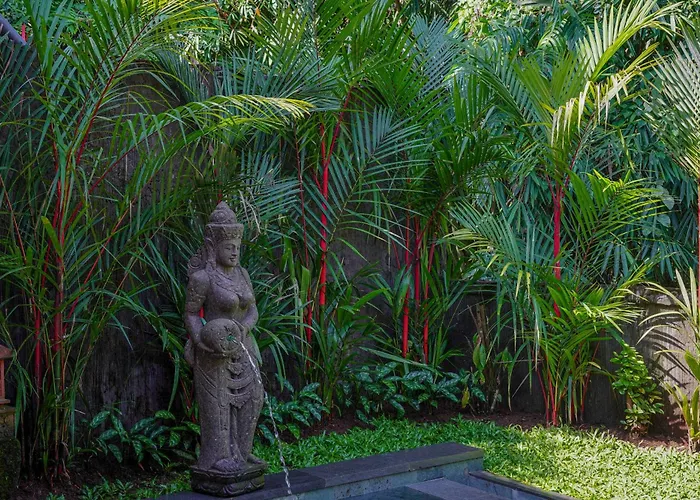 Jungle Paradise *