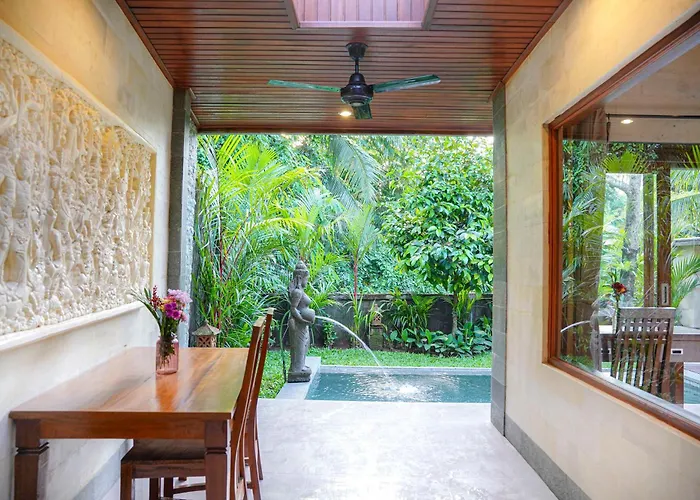 Jungle Paradise *