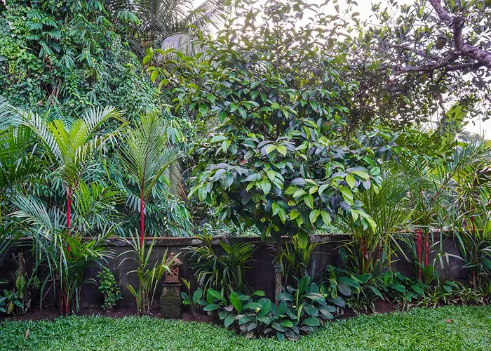Jungle Paradise Ubud