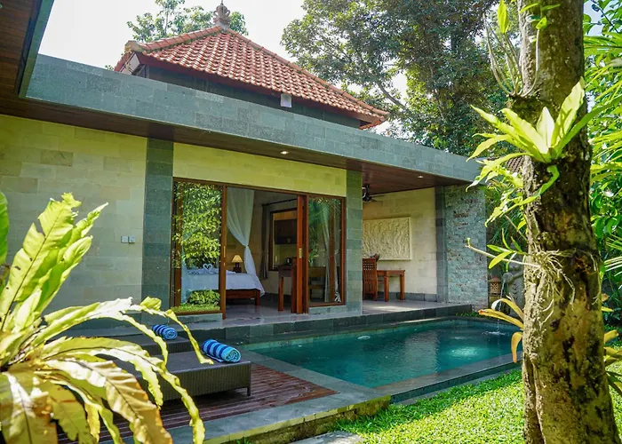 Jungle Paradise *