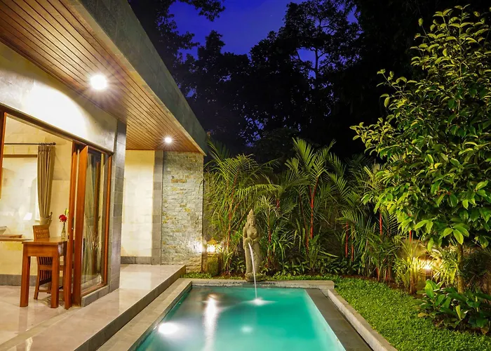Jungle Paradise *